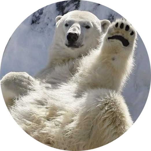 Funny animal