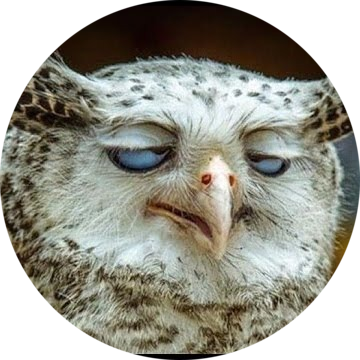 Funny animal